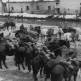 Лошади на службе в артиллерийском подразделении одной из пехотных дивизий вермахта Фото