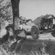 Немецкий танк Pz.Kpfw.IV Ausf. B и тягач Sd.Kfz.10 с 37-мм пушкой PaK 35/36 проезжают мимо немецких пехотинцев Фото