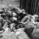 Тела эсэсовцев, расстрелянных американцами после освобождения концлагеря Дахау Фото