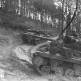Американские САУ M10 на марше по лесной дороге во время боев в Хюртгенвальде Фото