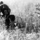 Советские пулеметчики меняют позицию в районе Дона Фото
